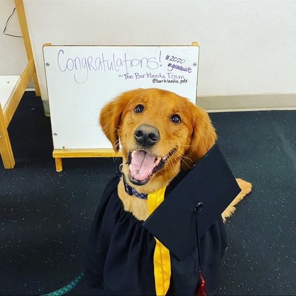 Meet your Posher, Allison - Picture 1 of 1